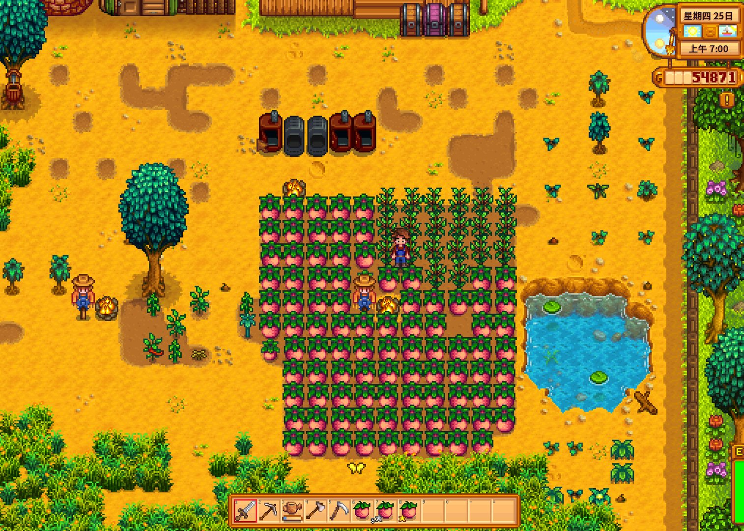 上古卷轴5：天际 豪华版 截图11