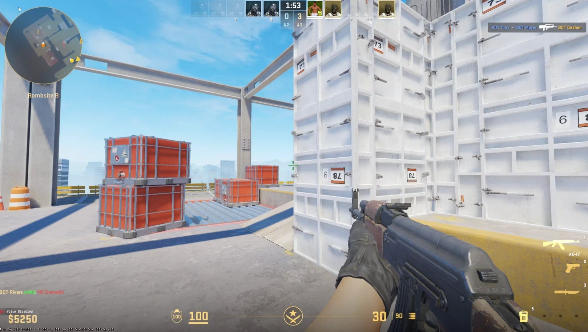 只狼：影逝二度 豪华版 截图11